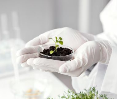 Teknik Bioproses: Kunci Produksi Bioteknologi dan Bioreaktor Industri